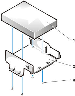 gator_11.gif (12535 bytes)