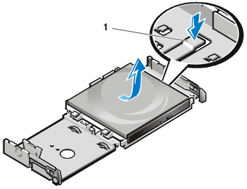 gator_14.gif (18219 bytes)
